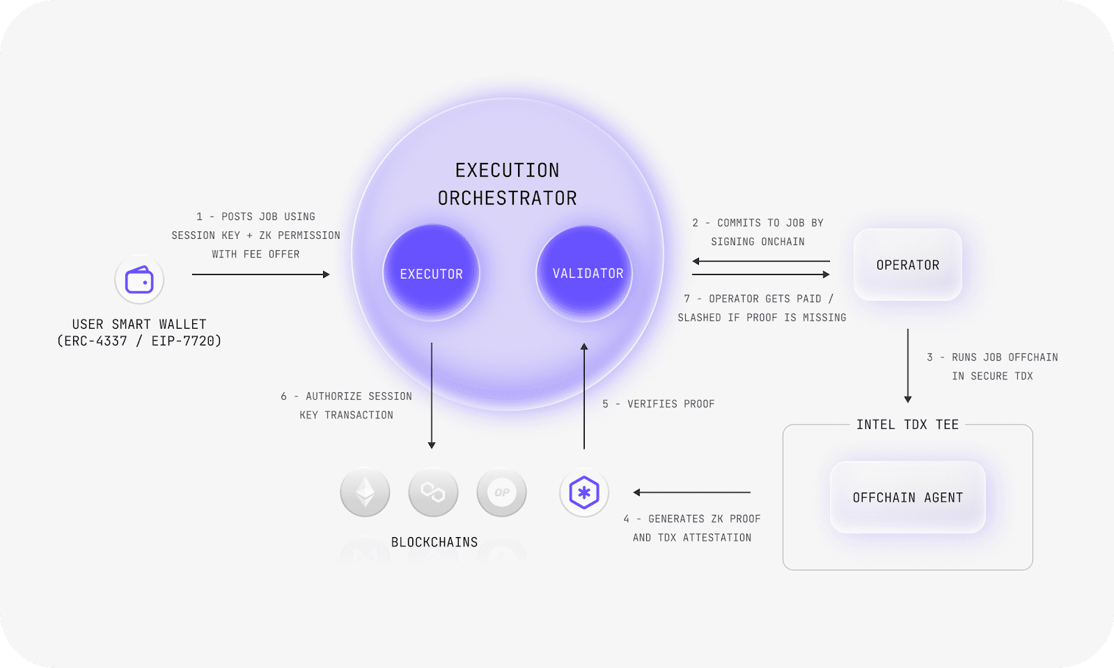 How the ecosystem works. Source: Magic Newton Foundation