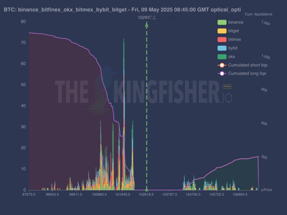 Bitcoin exchange order book liquidity data. Source: TheKingfisher/X