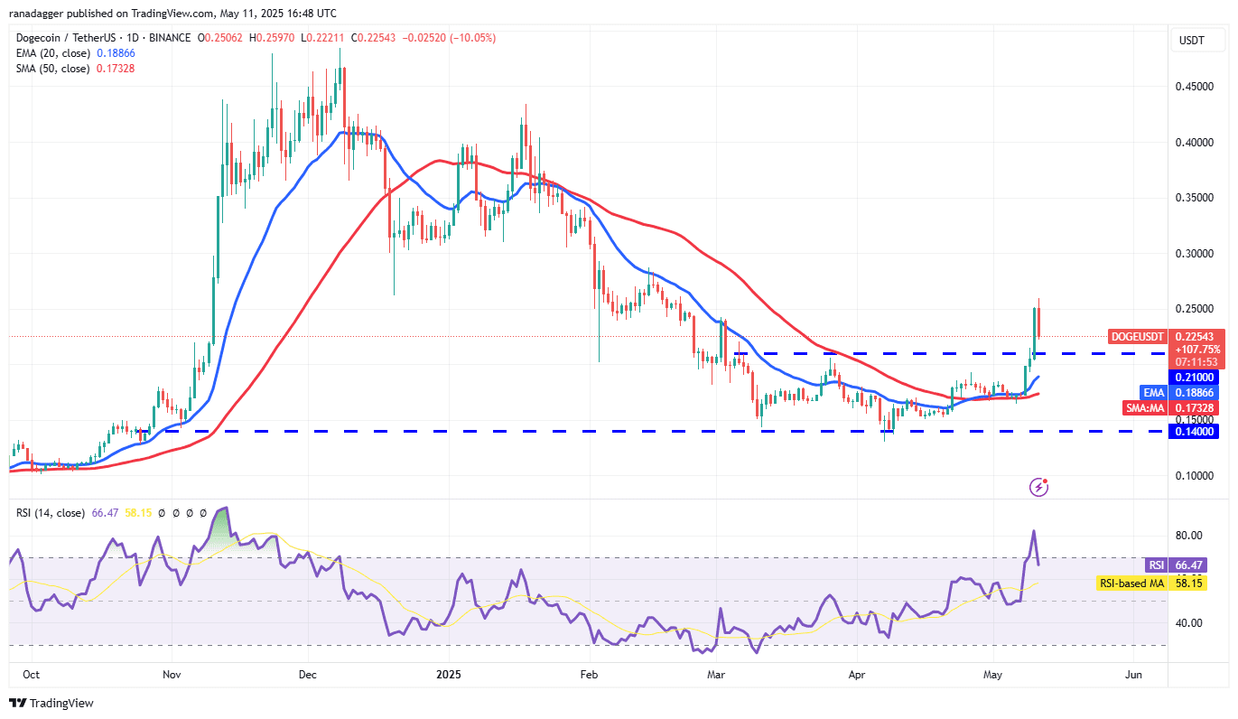 DOGE/USDT daily chart. Source: Cointelegraph/TradingView