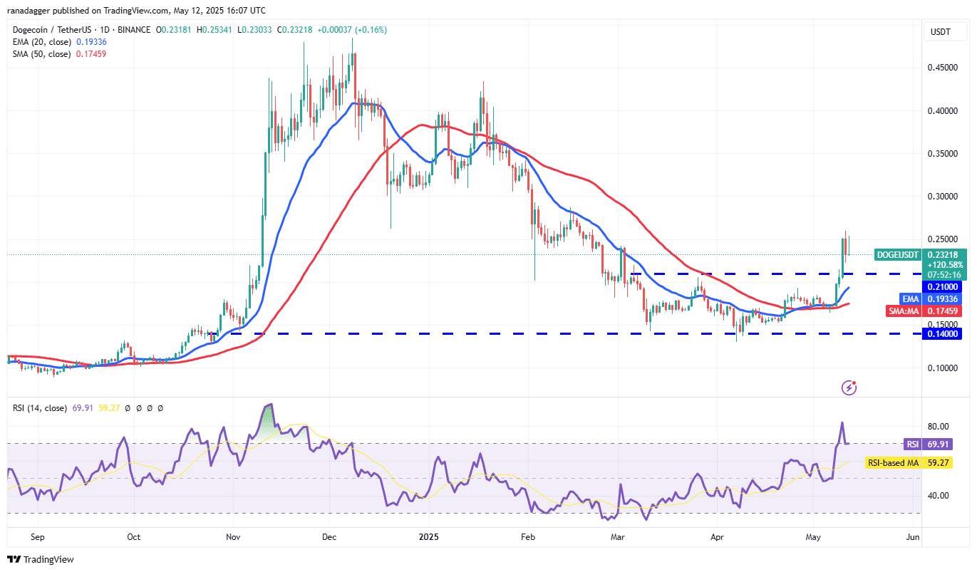 DOGE/USDT daily chart