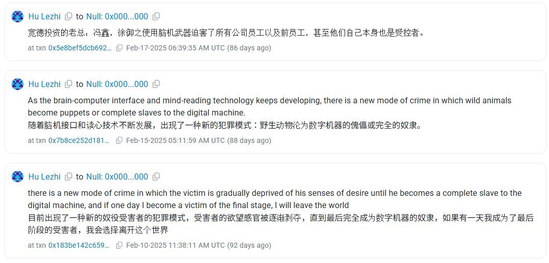 Hu Lezhi’s final messages before disappearing. Source: Etherscan