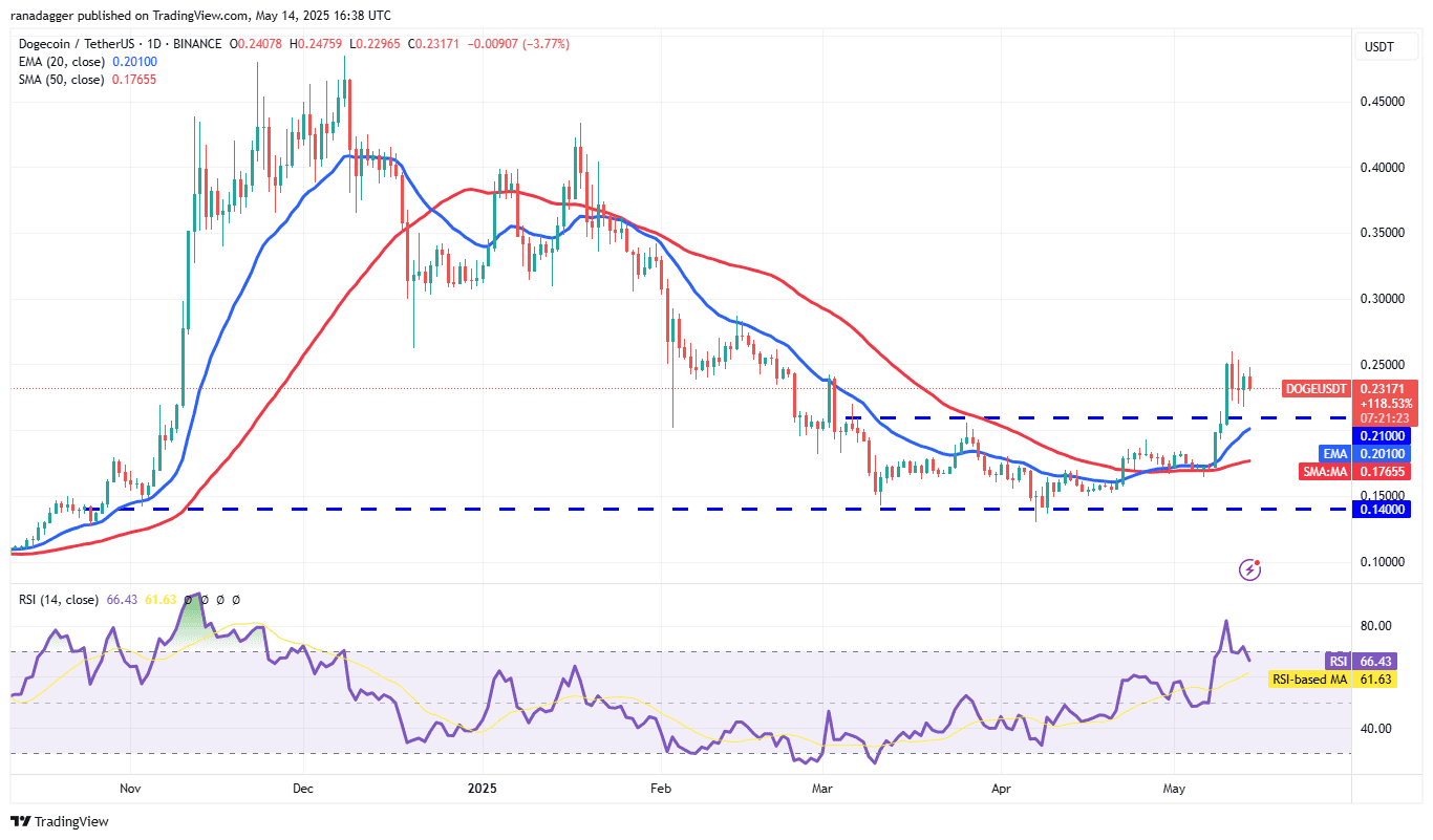 DOGE/USDT daily chart. Source: Cointelegraph/TradingView