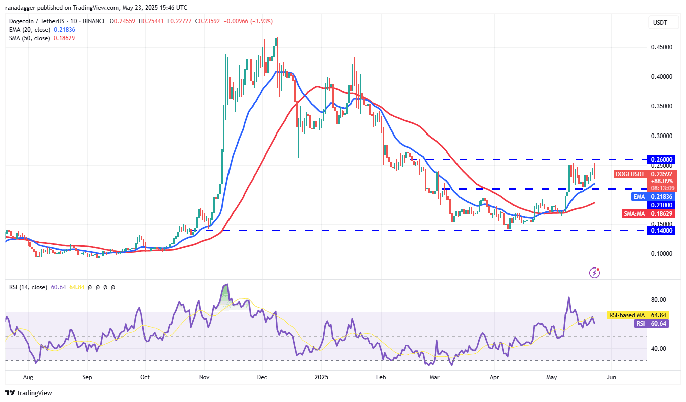 DOGE/USDT daily chart. Source: Cointelegraph/TradingView