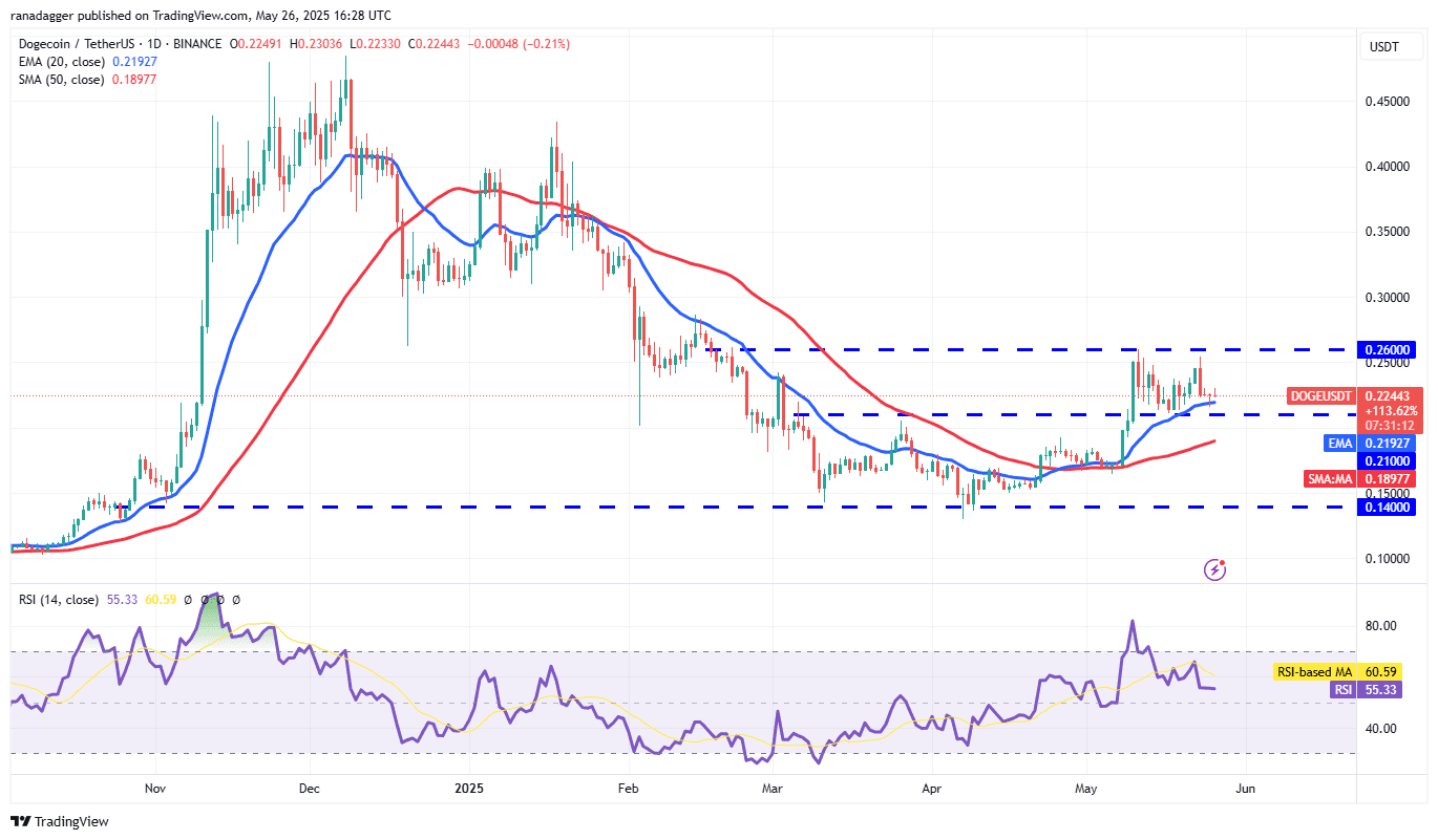 DOGE/USDT daily chart. Source: Cointelegraph/TradingView