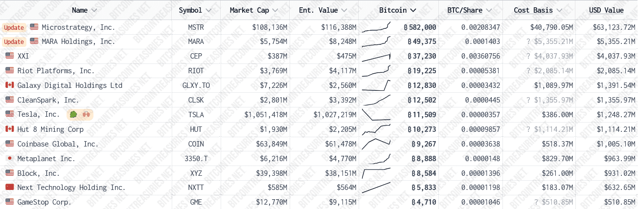 Top 13 public companies by Bitcoin holdings. Source: BitcoinTreasuries.NET
